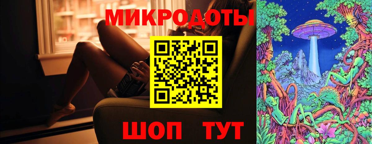 Псилоцибиновые грибы Psilocybine cubensis Фрязино